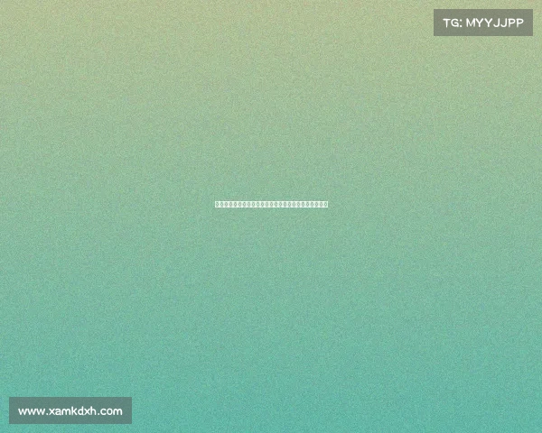 网球赛事口碑分析:探讨各大赛事的观众体验与评价标准