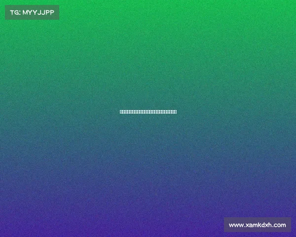 赛事意义深远:探索比赛背后的文化价值与社会影响