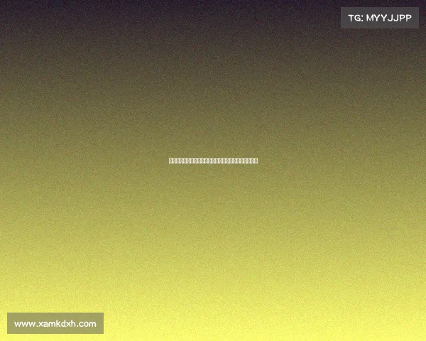 网球赛事口碑分析:探讨各大赛事的观众体验与评价标准