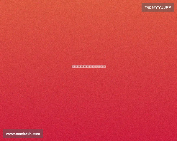 赛事意义深远:探索比赛背后的文化价值与社会影响