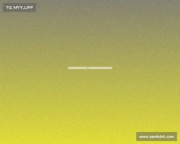 英超球员转会动态与表现分析 热门球员的最新动向与未来趋势探讨