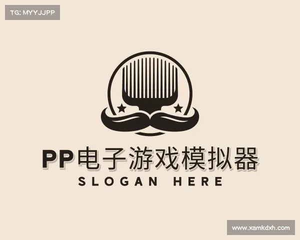 关于pp电子官网